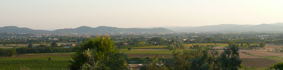 Вина Тосканы 